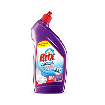 Brix Toilet Cleaner 450 ml