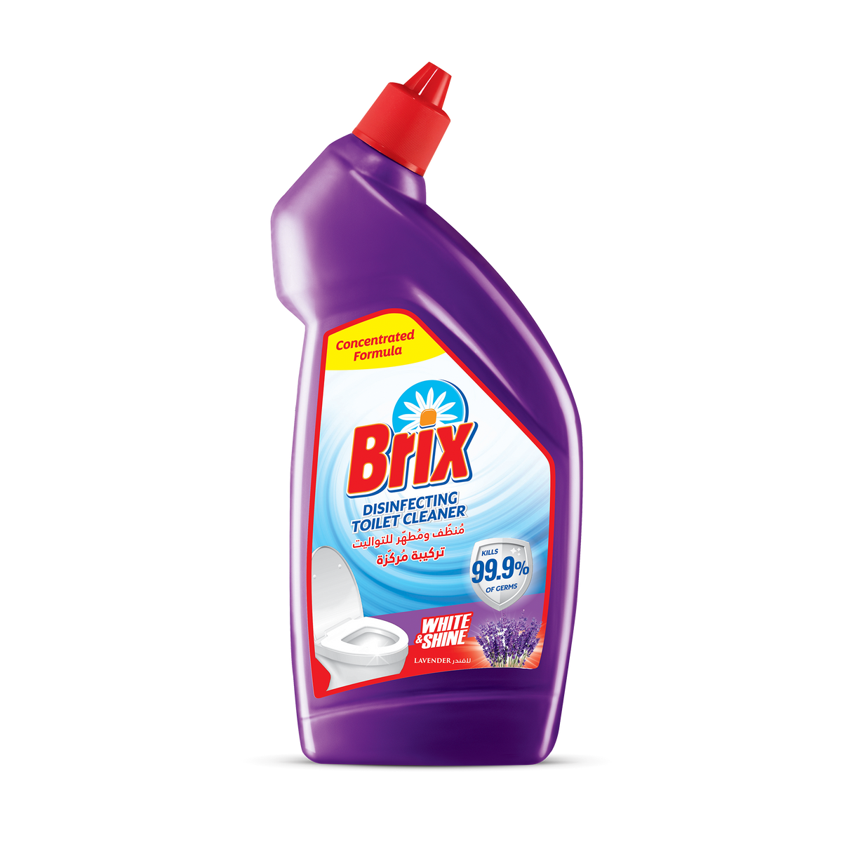 Brix Toilet Cleaner 450 ml