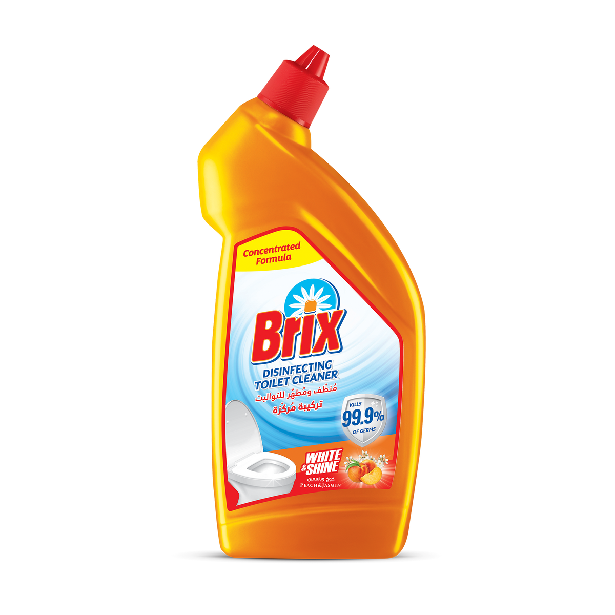 Brix Toilet Cleaner 450 ml